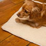 Snuggle rug önmelegitő szőnyeg  Alkalmas mind Kutyáknak és Macskáknak